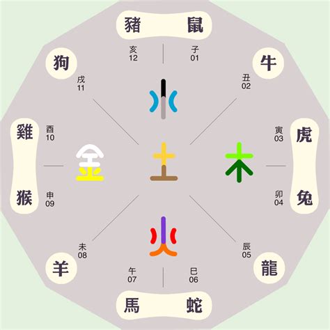 緯五行|纬字的五行属性